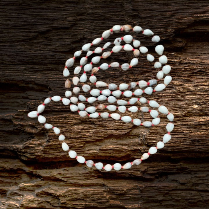 Vaijayanti mala - Prabhuaastha