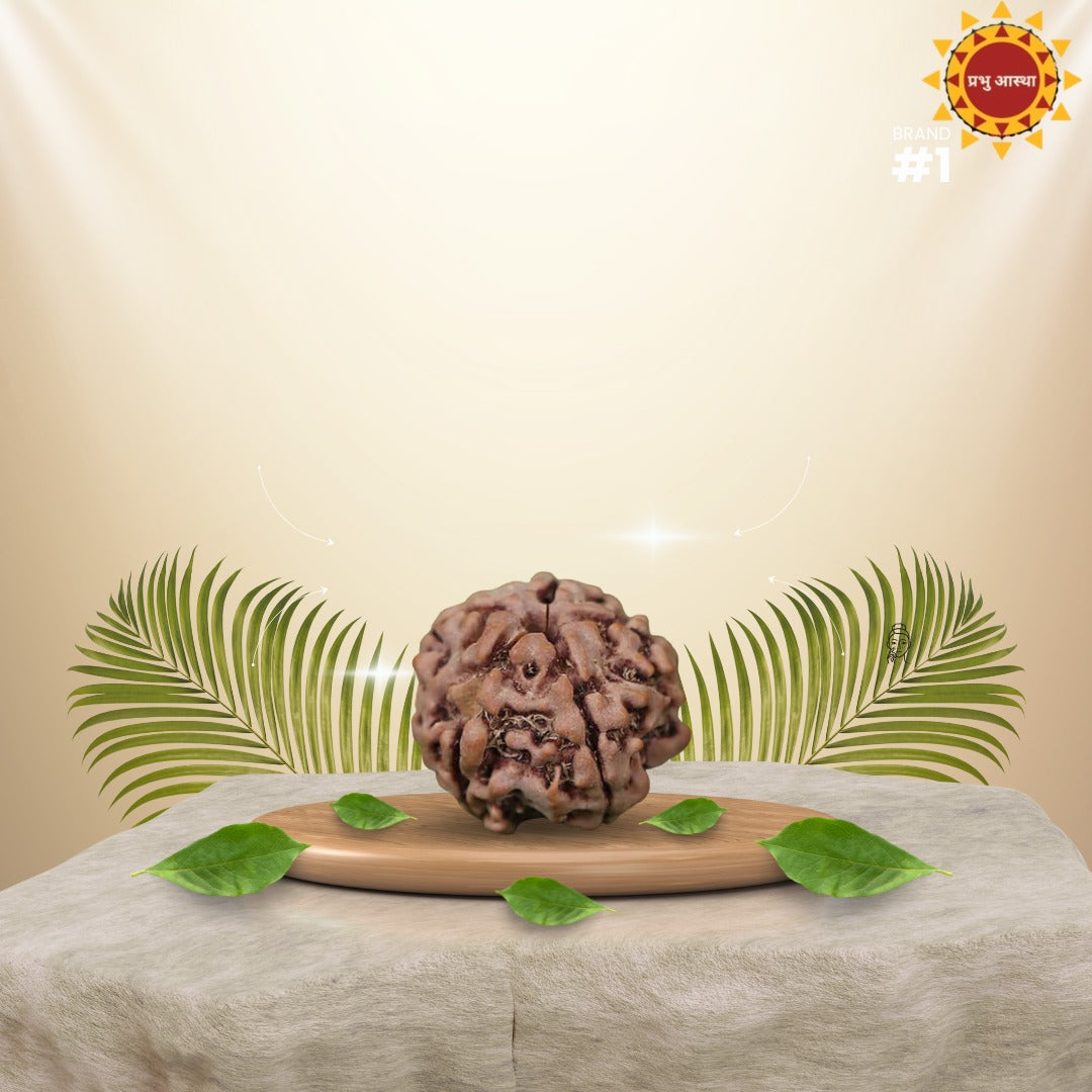 4 Mukhi Rudraksha
