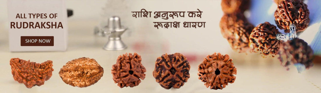 Rudraksha The Sacred Beads of Lord Shiva for Peace, Power & Protection