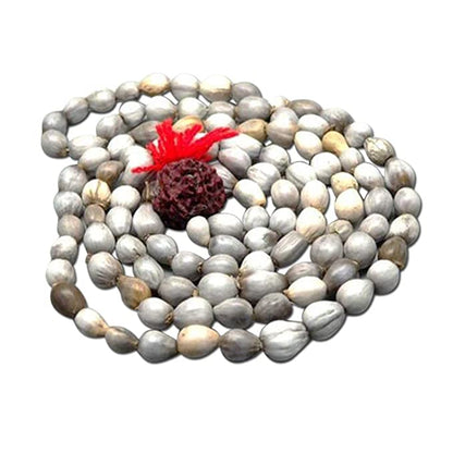 Vaijayanti mala - Prabhuaastha