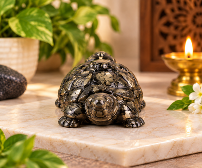Pyrite Tortoise