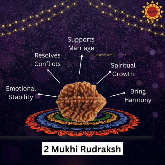 2 Mukhi Rudraksha