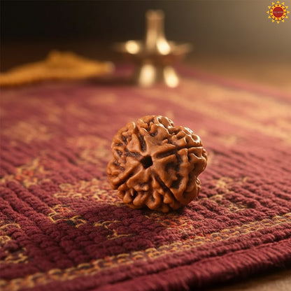 4 Mukhi Rudraksha