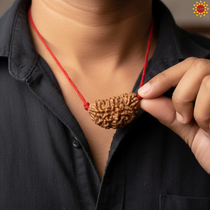 Original 1 Mukhi Rudraksha
